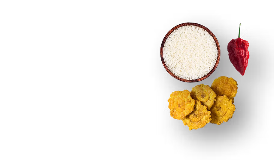 TAP_TAP_Express-RIZ.png
